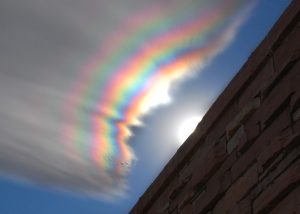 iridescent_allen_big