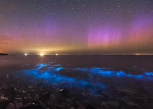 Bioluminescent waves & aurora borealis