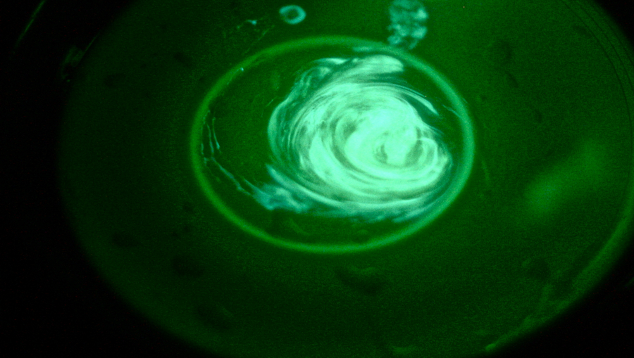 Glow stick fluid ( a mixture of peroxide and phenyl oxalate ester