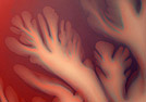 Image: Flow visualization 2003