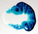 Image: Flow visualization 2004