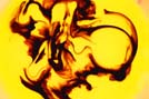 Image: Flow visualization 2007