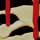 Image: Flow visualization 2010