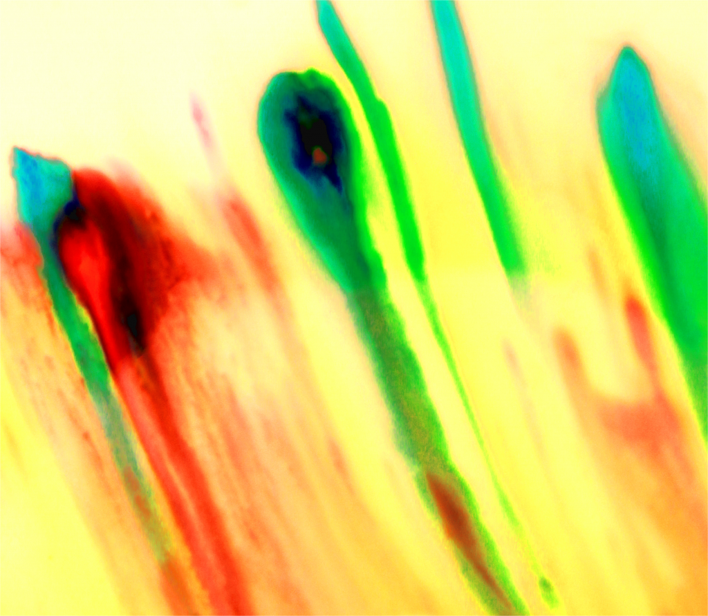 Food coloring dye, milk, and dish soap flow down a vertical plate and