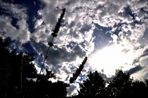 cloud_image_1