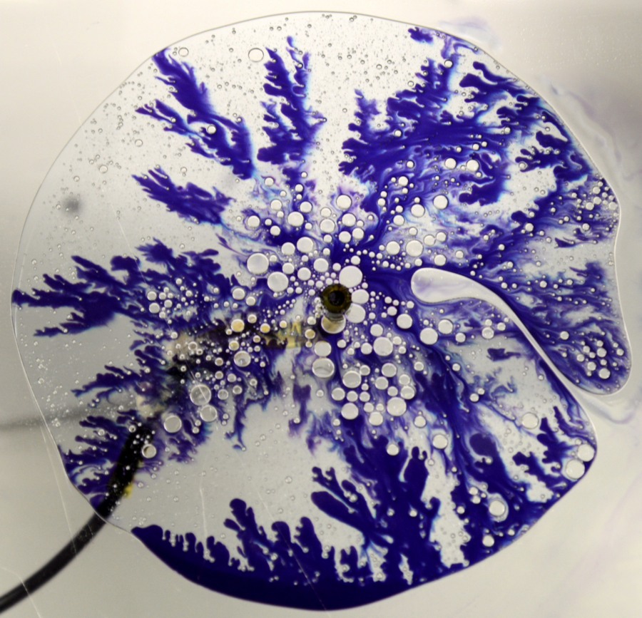 Dyed water was injected into Dawn dish soap to make the SaffmanTaylor