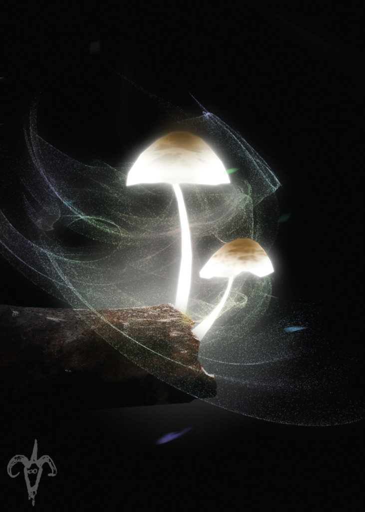 Mushrooms spore release